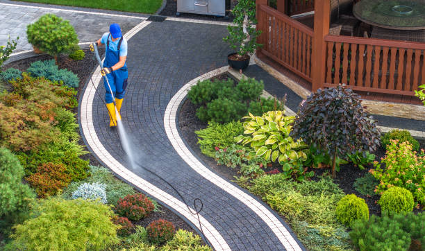 Best Deck Cleaning Services  in Lindstrom, MN