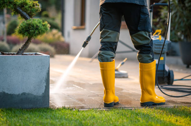 Best Pressure Washing Company Near Me  in Lindstrom, MN